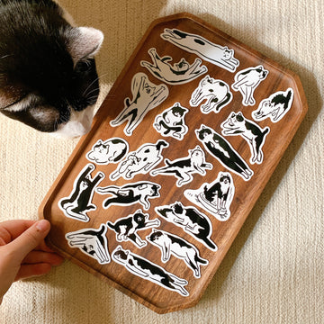 不然你來當小寶｜黑白貓貼紙包