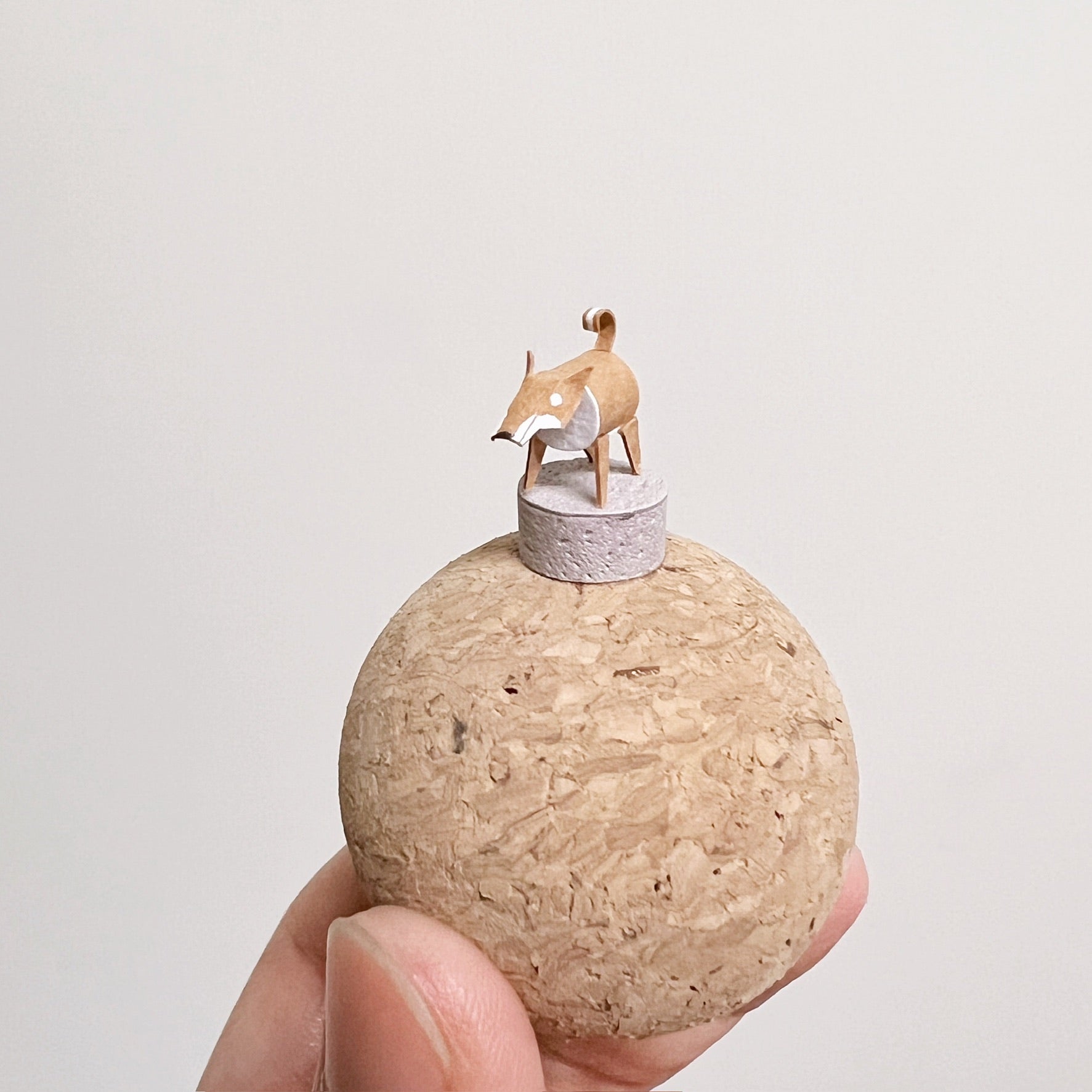 個性狗兒｜捲尾柴犬