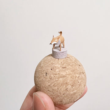 個性狗兒｜捲尾柴犬