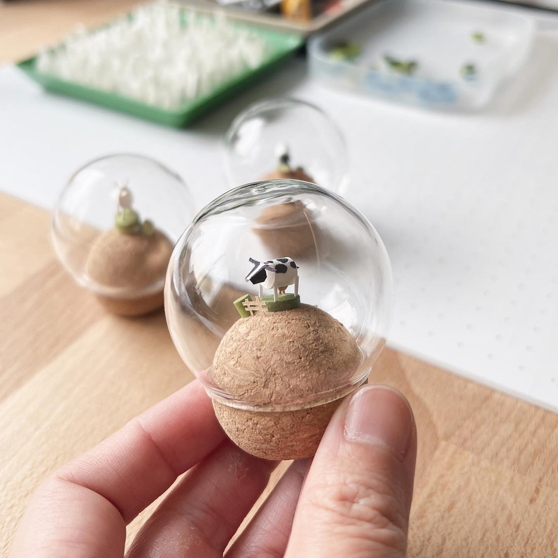 微縮動物 ｜玻璃損壞 加購