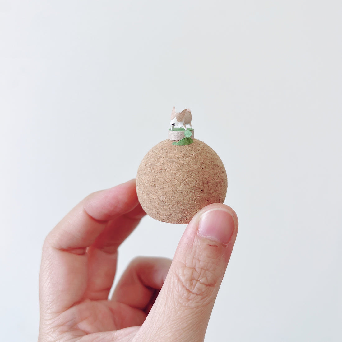 個性狗兒｜短腿科基