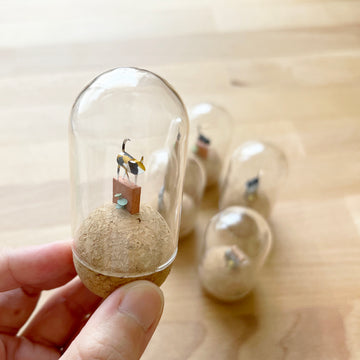 牆頭貓咪｜銅錢草紅牆貓咪（三花／黑貓）