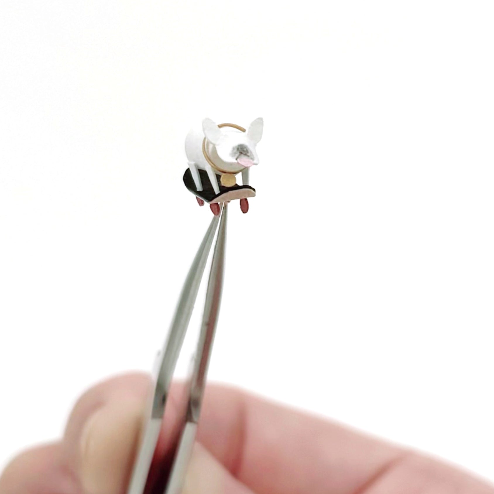 個性狗兒｜法國鬥牛犬