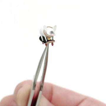 個性狗兒｜法國鬥牛犬