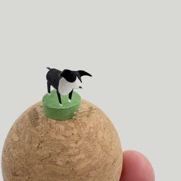 個性狗兒｜邊境牧羊犬