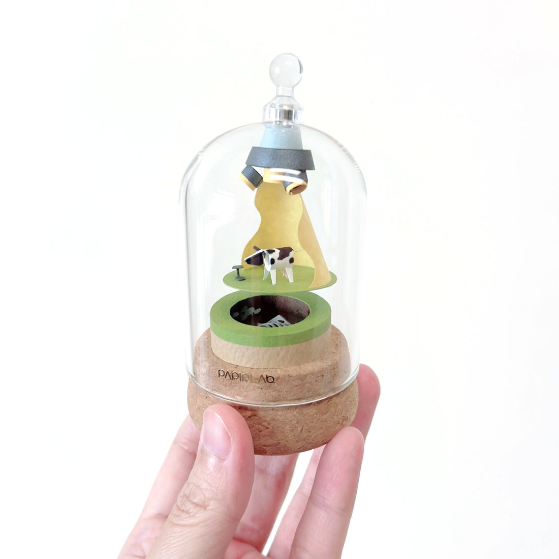 期間限定｜飛碟牛