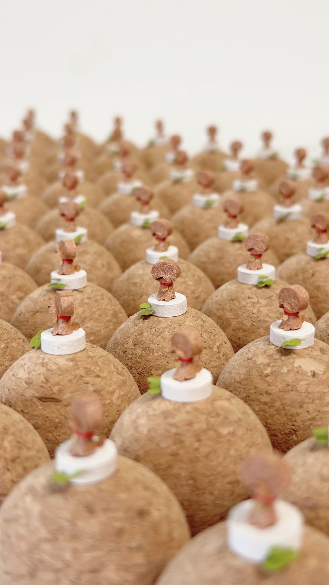 個性狗兒｜紅貴賓