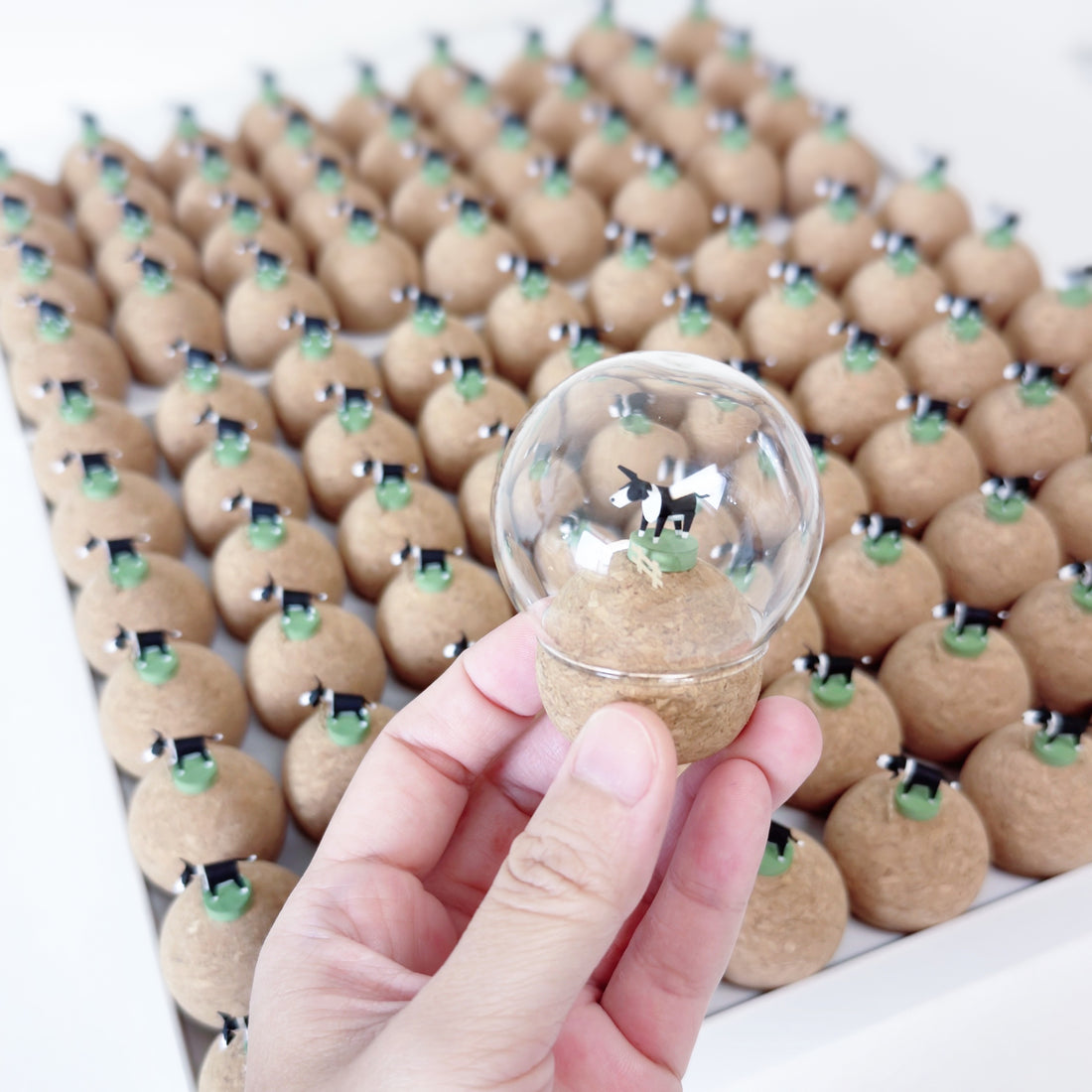 個性狗兒｜邊境牧羊犬