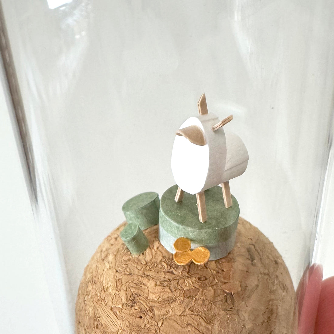 可愛動物｜小花羊駝