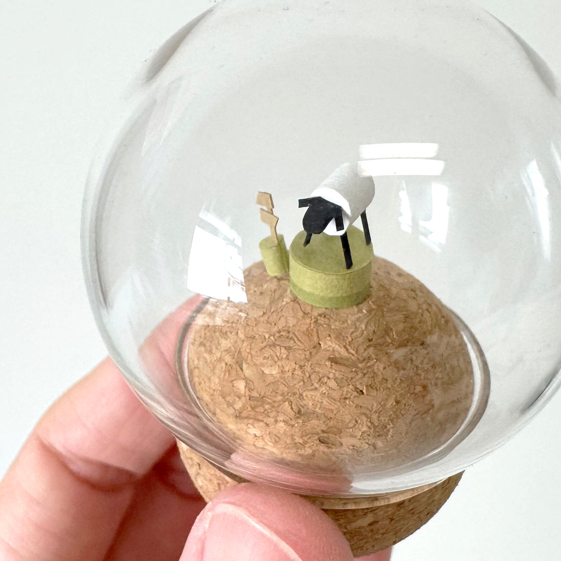 可愛動物｜黑臉綿羊