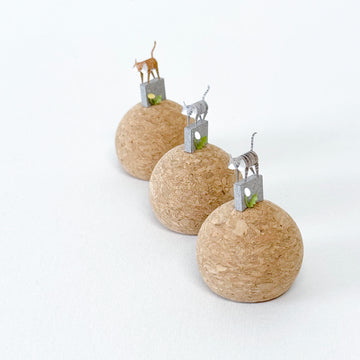 牆頭貓咪｜蒲公英灰牆貓咪（各色虎斑貓）