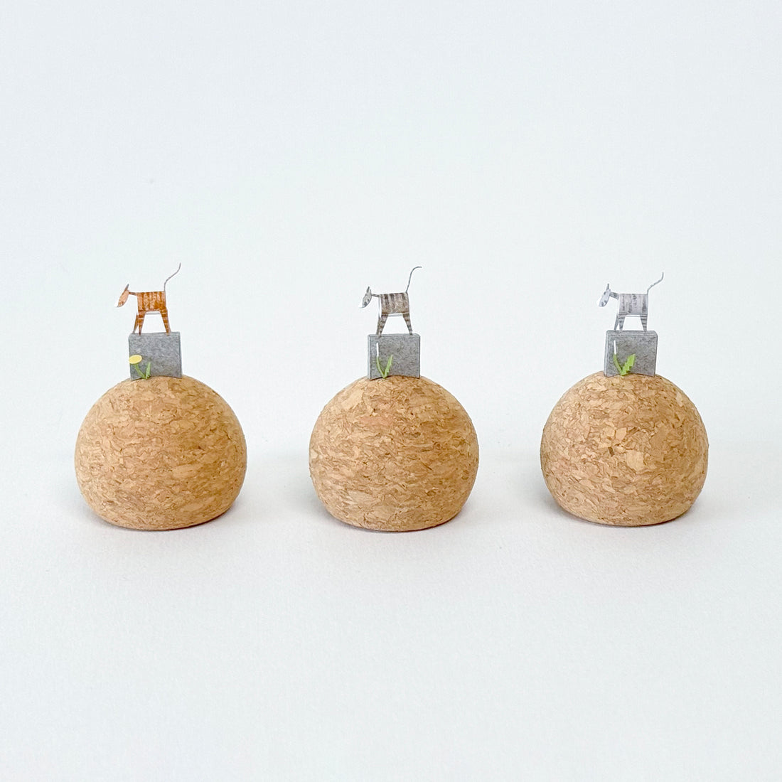 牆頭貓咪｜蒲公英灰牆貓咪（各色虎斑貓）