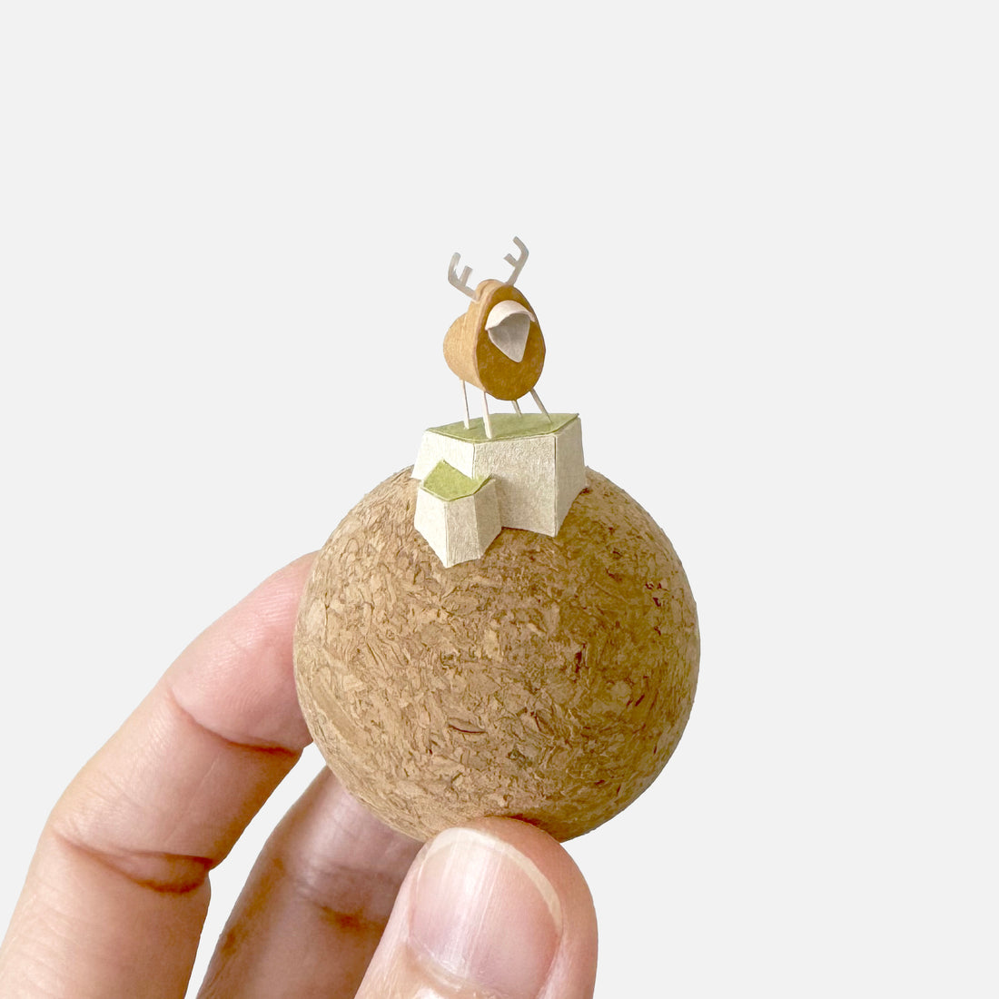 可愛動物｜山丘雄鹿