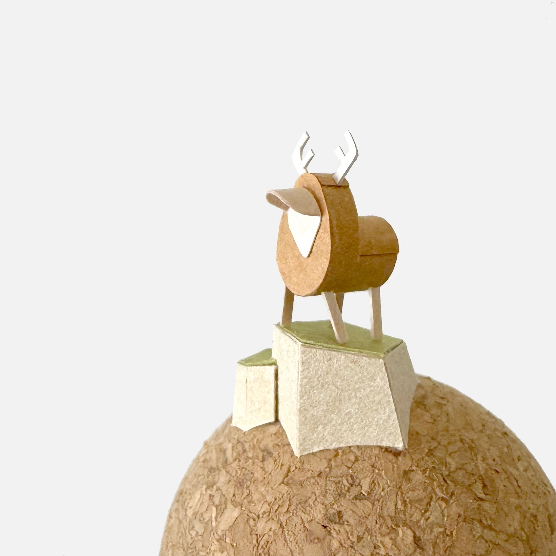 可愛動物｜山丘雄鹿