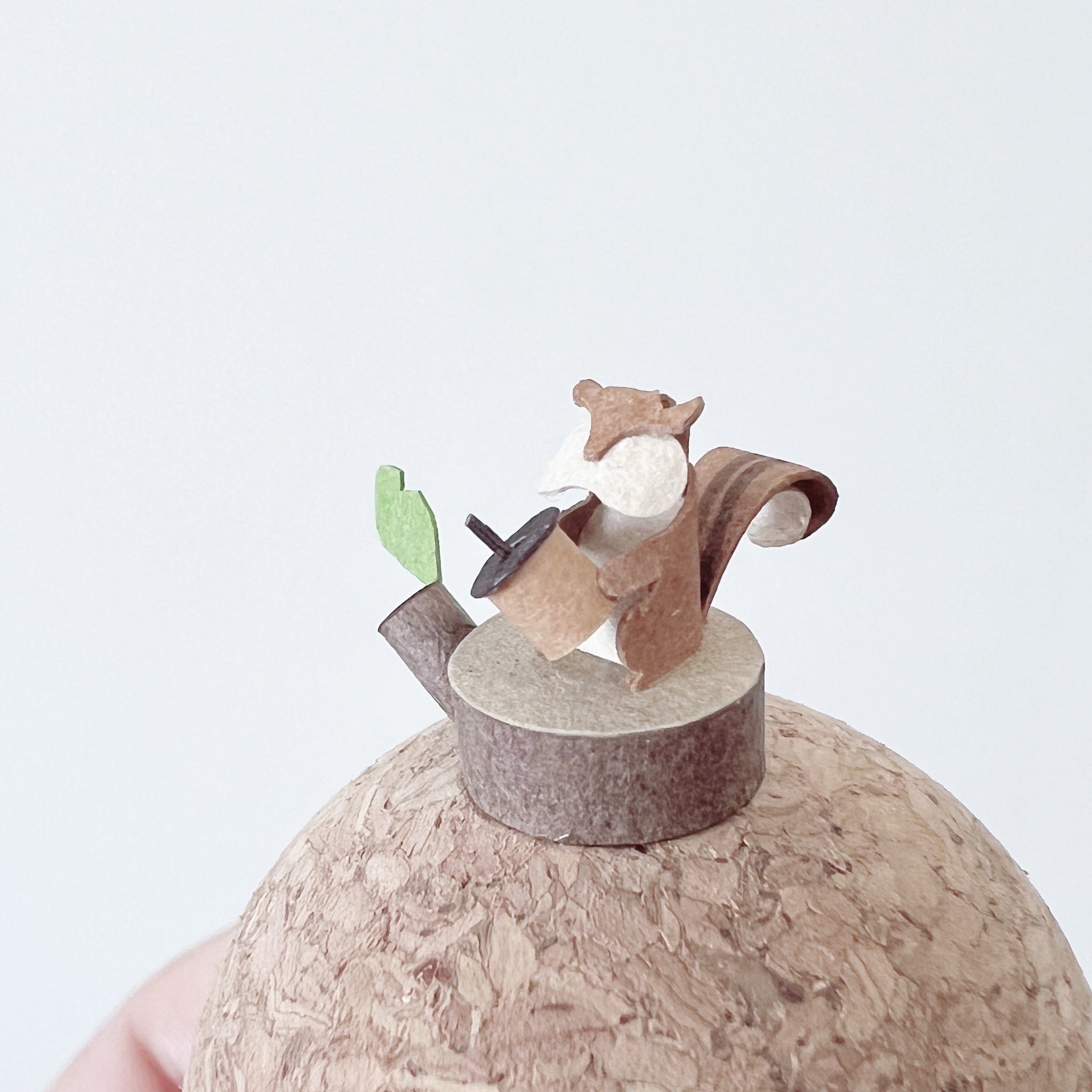 森林動物｜松鼠與橡果