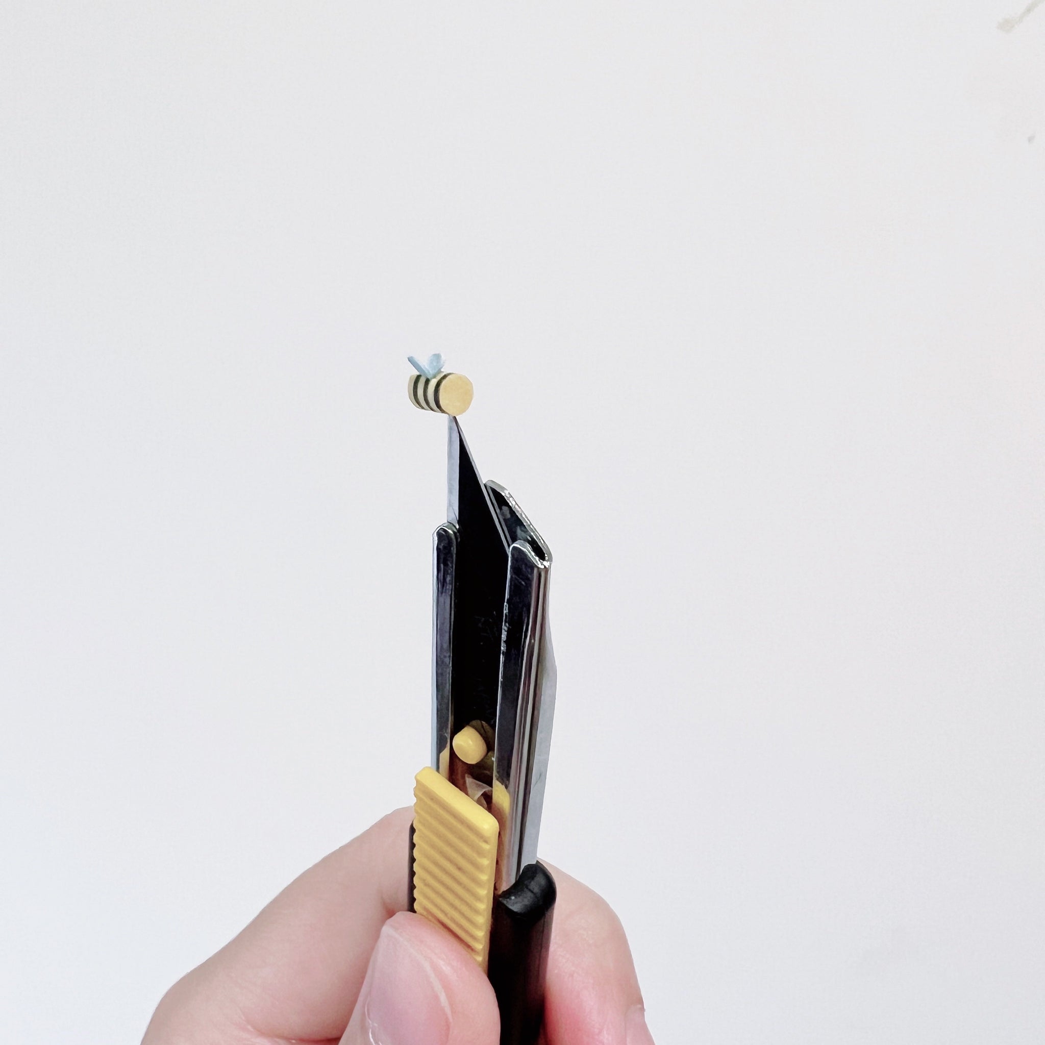 森林動物｜棕熊與蜜蜂